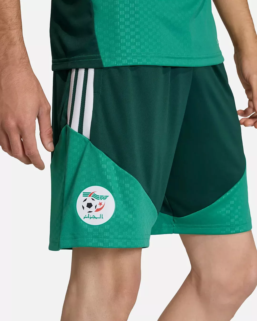 Short d'entraînement Algérie Coupe du monde 2026 - Vert