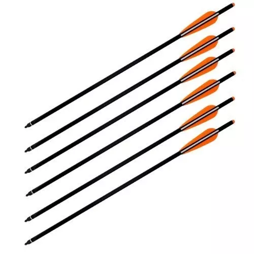 Wizard Carbon Fiber Crossbow Bolts - 6/Pack (20")